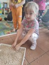 IMG 20210923 100219